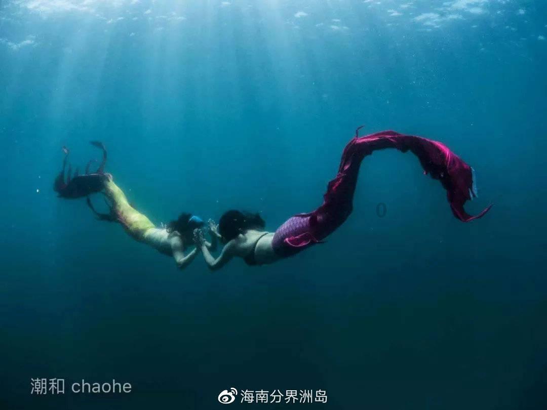 不请自来的客人
